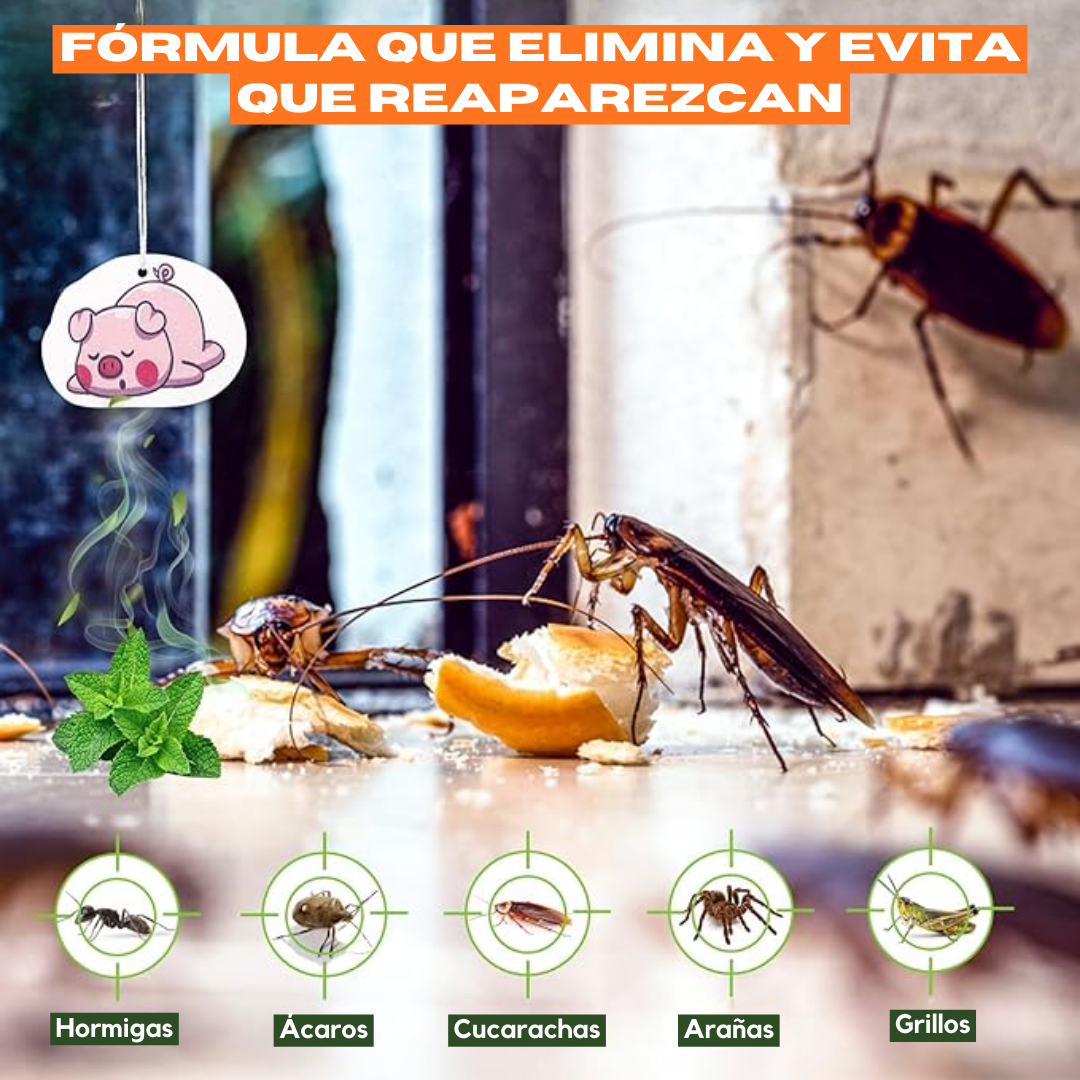 Bye Bye Bichos: Spray Eliminador de plagas de 500ml 🦟